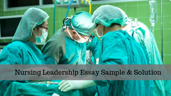 Nursing Leadership Essay Sample & Solution
