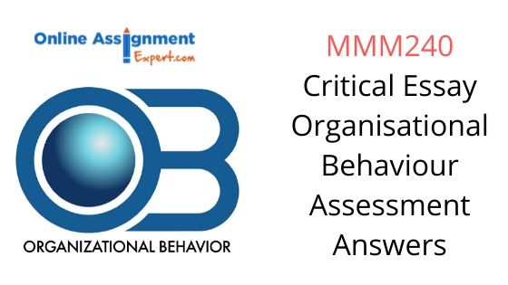 MMM240 Critical Essay Organisational Behaviour Assessment Answers
