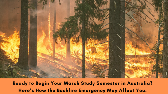 Ready to Begin Your March Study Semester in Australia? Here’s How the BushFire Emergency May Affect You.