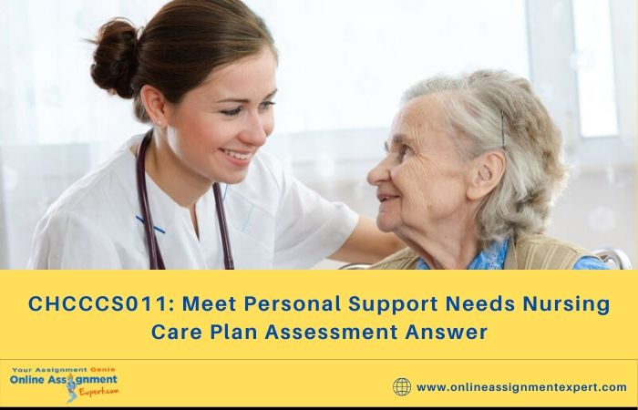 CHCCCS011: Meet Personal Support Needs Nursing Care Plan Assessment Answer