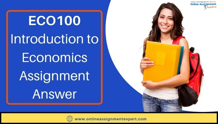 ECO100 Introduction to Economics Assignment Answer