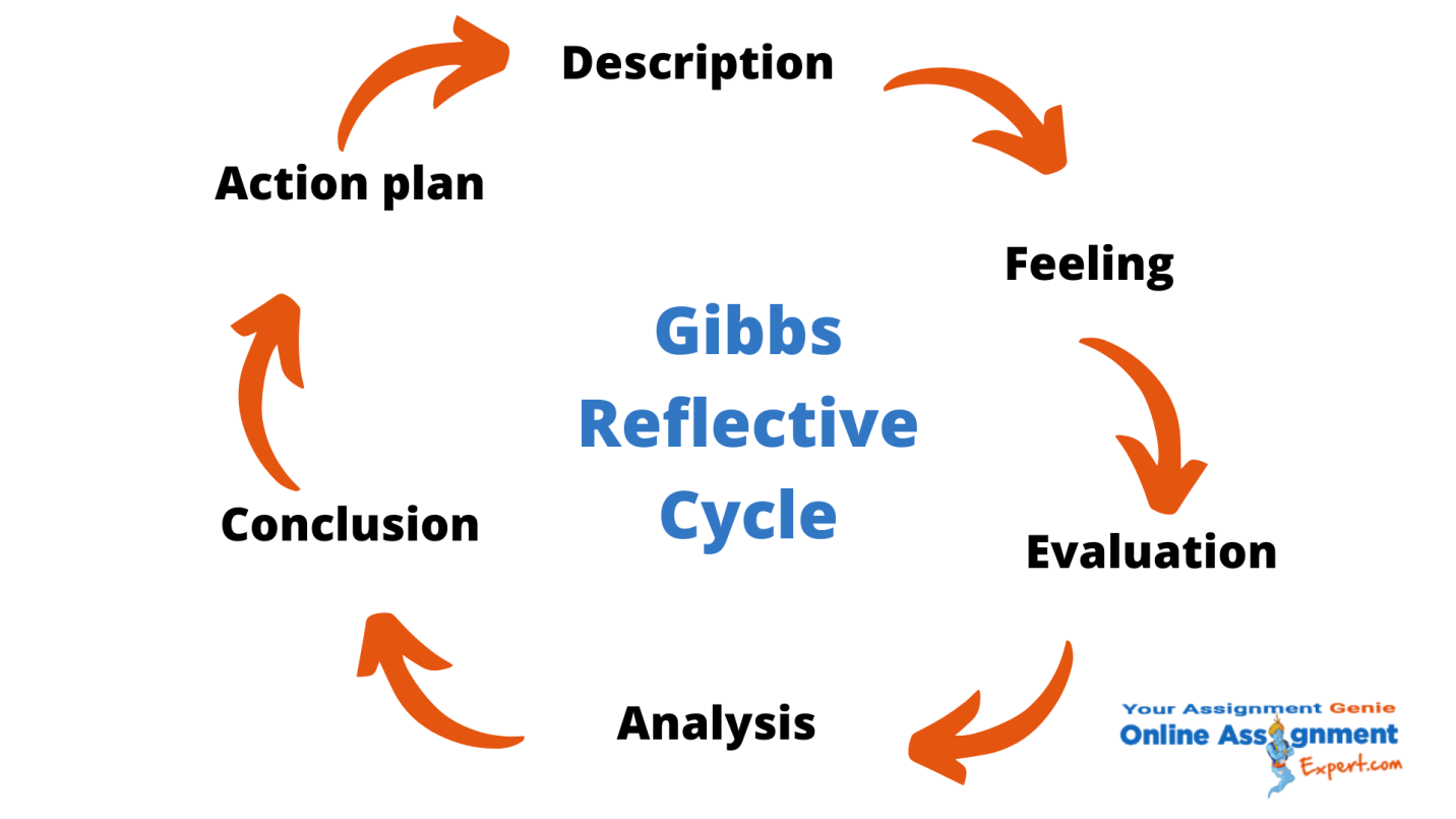 gibbs reflective cycle