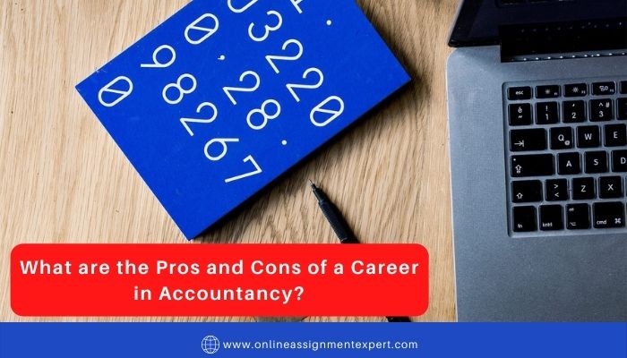 What are the Pros and Cons of a Career in Accountancy?