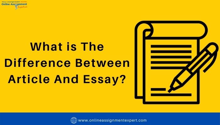 What Is The Difference Between Article And Essay?