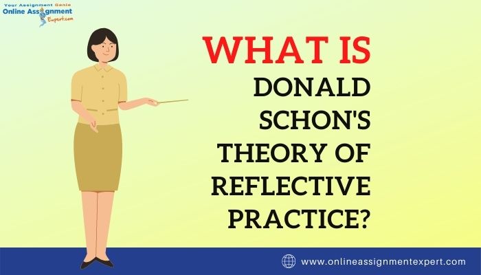 What is Donald Schon's Theory of Reflective Practice?