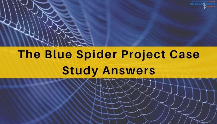 The Blue Spider Project Case Study Answers