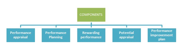 Components-Performance-Management