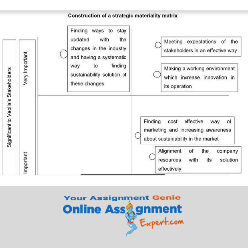 accounting for sustainable management assignment sample