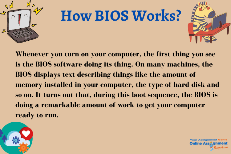 bios assignment experts