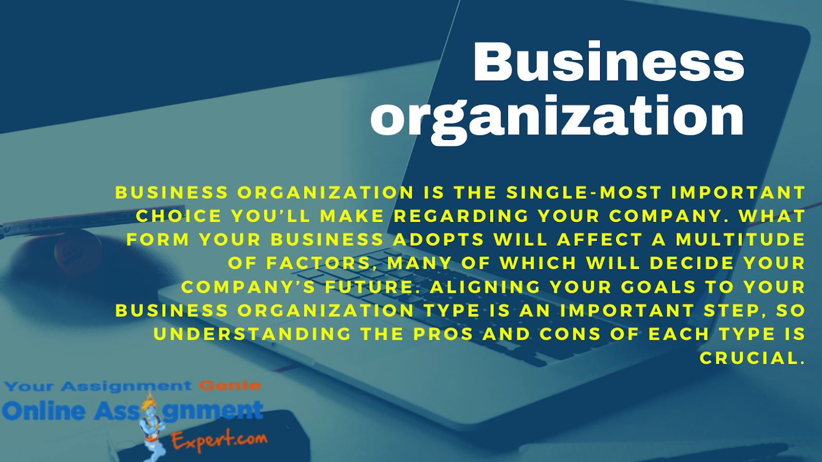 business organisation