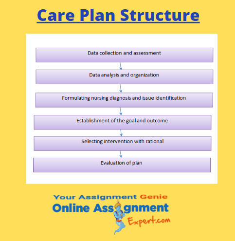 care plan structure