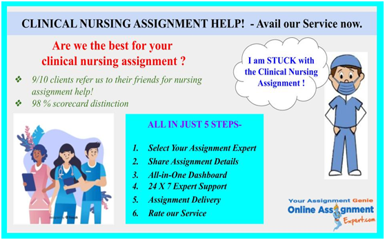clinical nursing assignment help