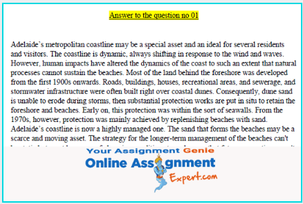 Coastal Engineering Assignment Answer