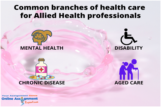 common branches of heath care for allied health professionals