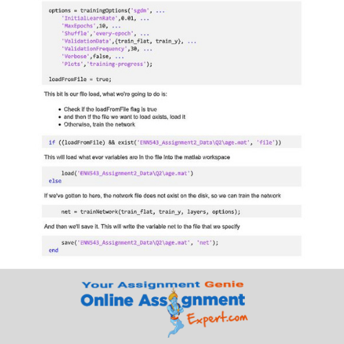 Convolutional Neural Network Assignment Sample