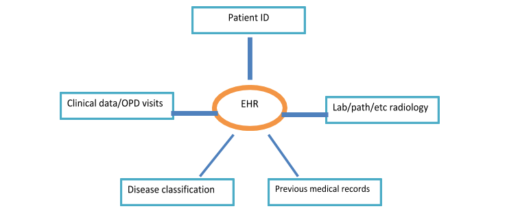 electronic medical records sample