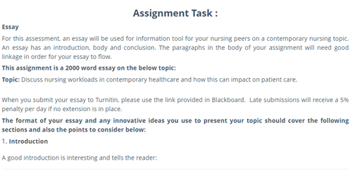 factors influencing the patient care assignment task