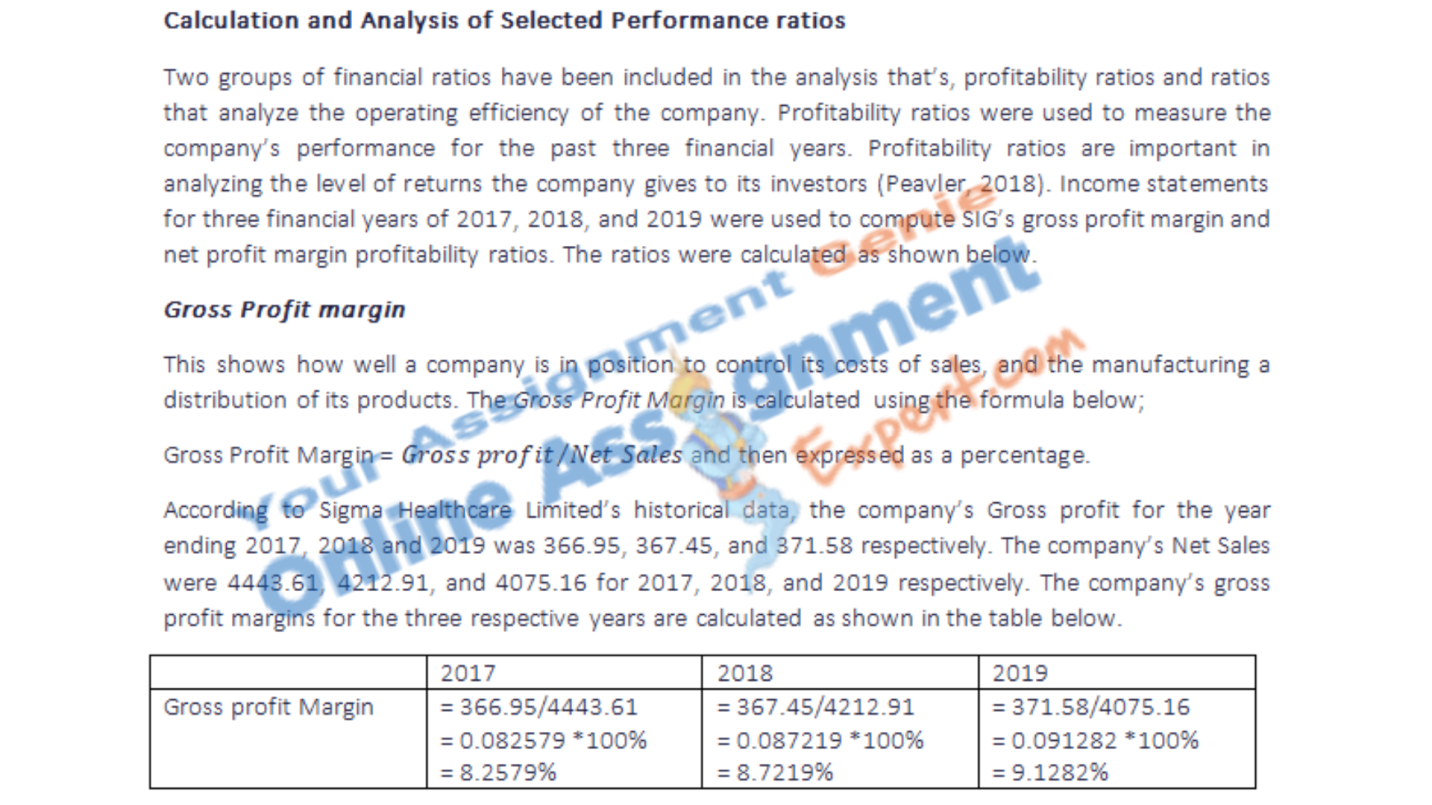 financial risk analysis assessment sample
