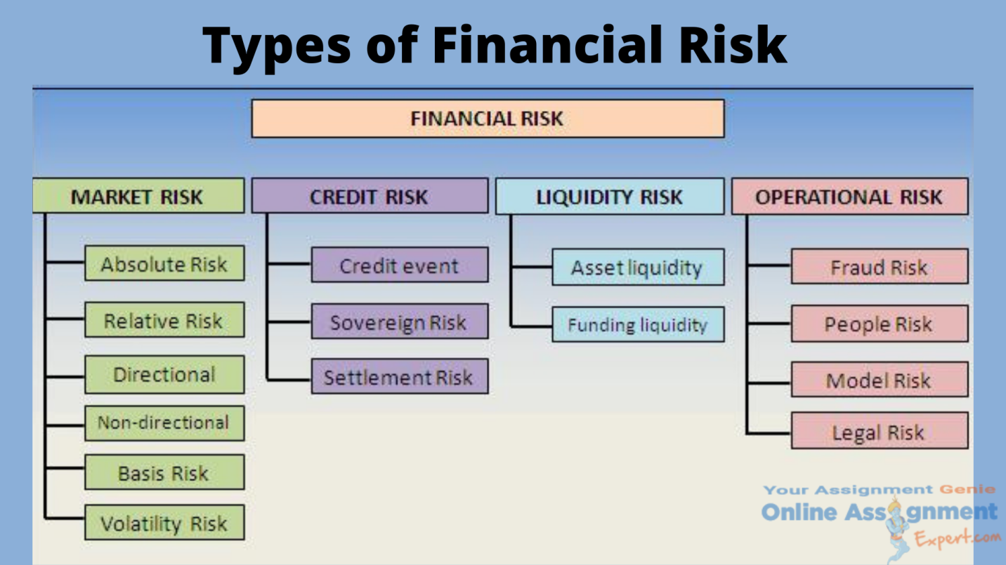 financial risk analysis assignment