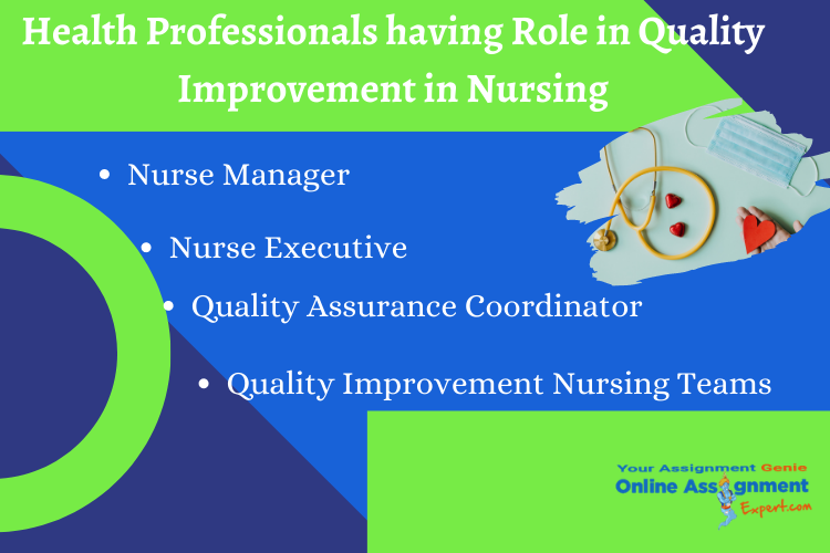 health professionals having role in quality improvement in nursing