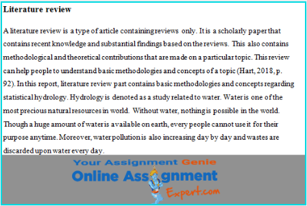 hydrology assignment help expert