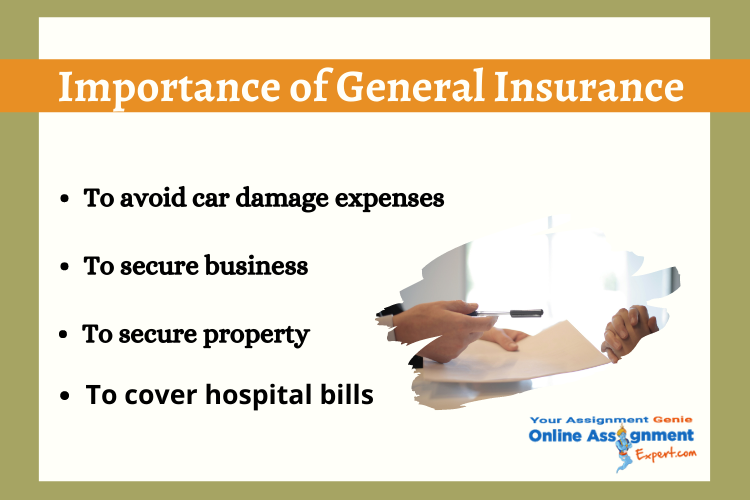importance of general insurance