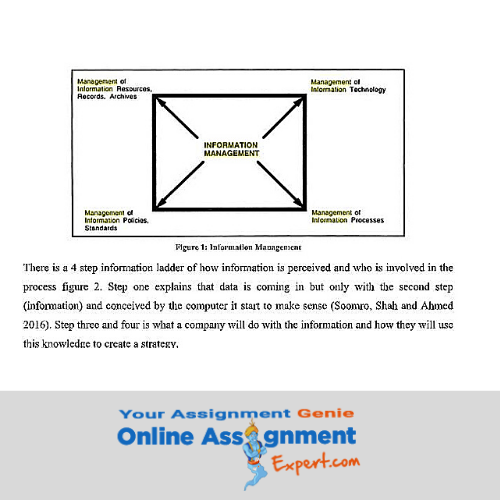 information management assessment answer