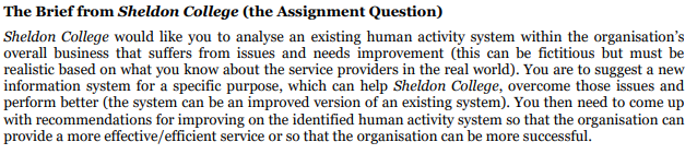 information systems in organisation assignment question