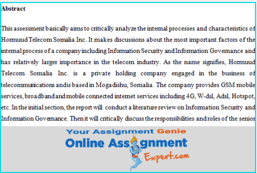 management information system assignment answer