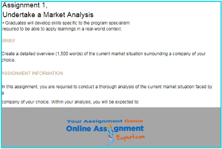 market analysis assignment sample