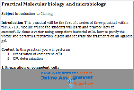 molecular biology assignment sample