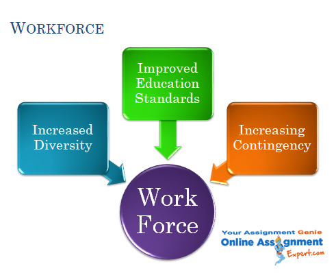 organization development and workforce capabilities sample 3