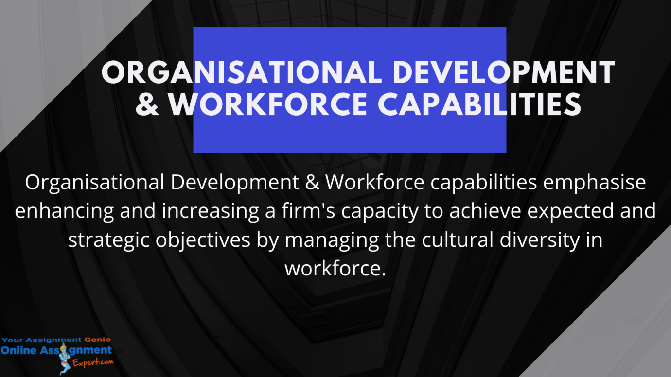 organization development and workforce capabilities