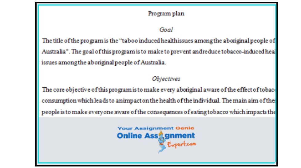 program design, implementation and evaluation assignment sample