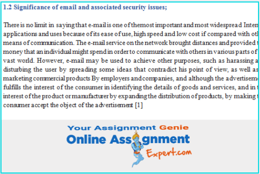 significance of email and associated security issues