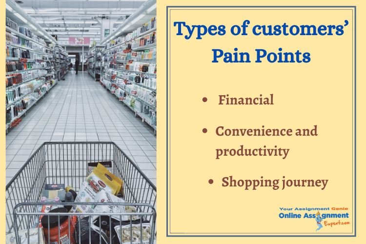 type of customers pain points