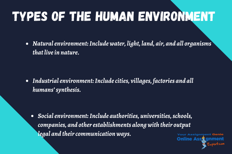 types of the human environment