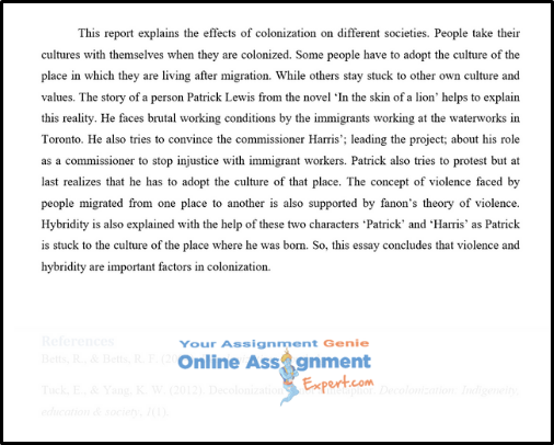 Literature Essay Writing Help 4