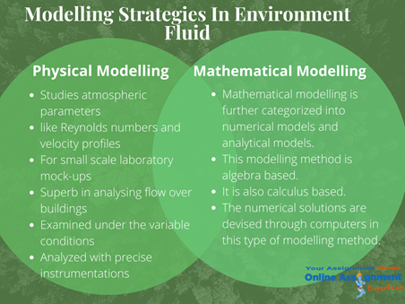 Modeling Strategies In Enviornment Fluid