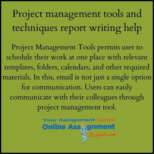 Project Management Tools And Techniques Report Writing Help