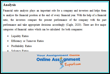 Financial Accounting and Analysis Assignment Analysis