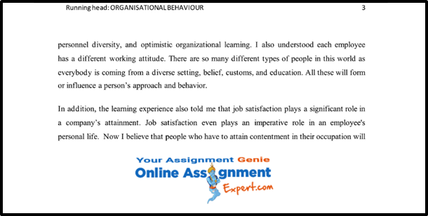 Organizational Behaviour Assignment Samples Solved