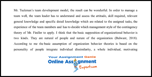 Organizational Behaviour Assignment Solved Sample