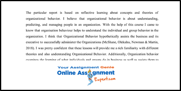 Organizational Behaviour Assignment Solved Samples