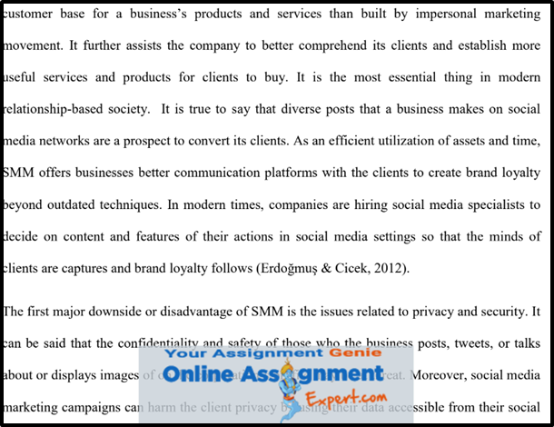 Digital Marketing Assignments Help