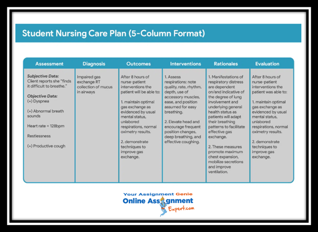 Nursing Care Plan Ultimate Guide Sample Help