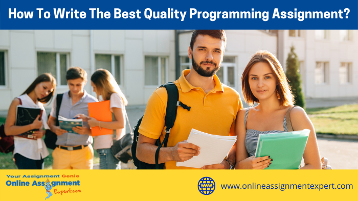 How To Write The Best Quality Programming Assignment?