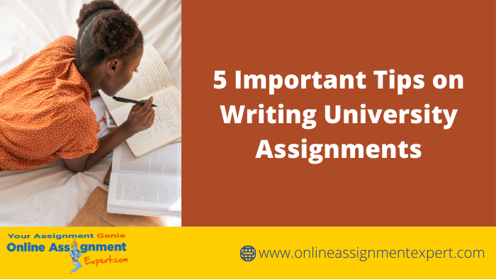 Tips on Writing the Best University Assignments