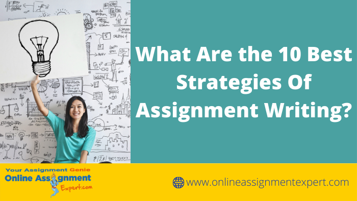 What Are The 10 Best Strategies Of Assignment Writing