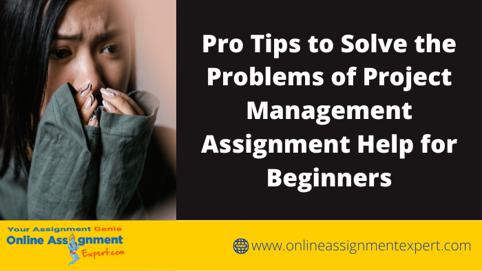 Pro tips to solve the problems of project management assignment help